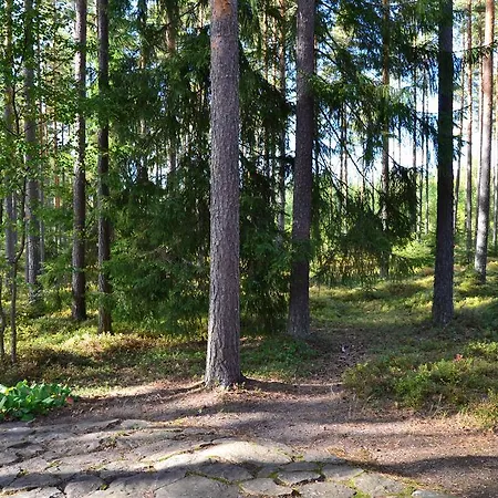 Forest * Sakyla
