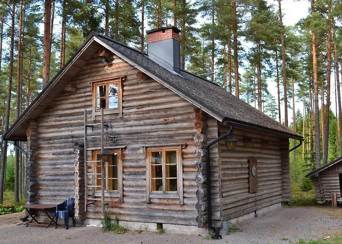 Forest Dom wakacyjny Säkylä