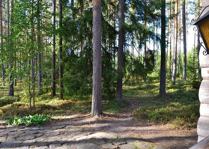 Forest * Säkylä