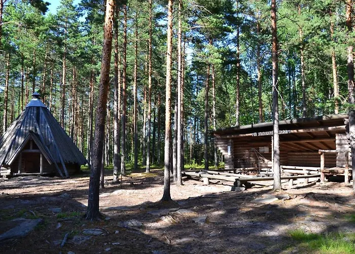 Forest Dom wakacyjny Säkylä